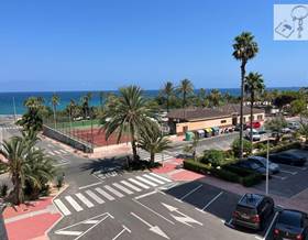 houses for sale in torrevieja