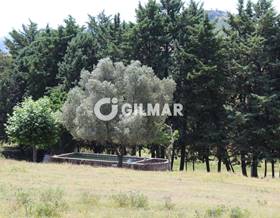 lands for sale in caceres province