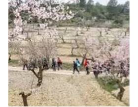 lands for sale in ferez