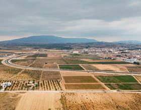 land sale alicante pinoso by 97,000 eur