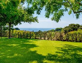 houses for sale in mataro