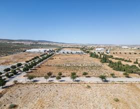 lands for sale in escuzar