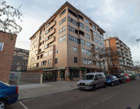 apartments for rent in zamora