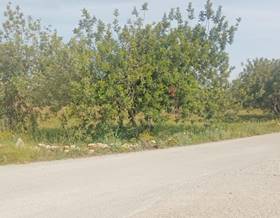land sale amposta rústica by 25,000 eur