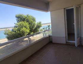 apartments for rent in rio san pedro