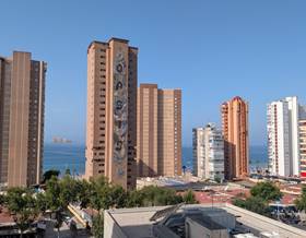 studio sale benidorm levante by 159,000 eur