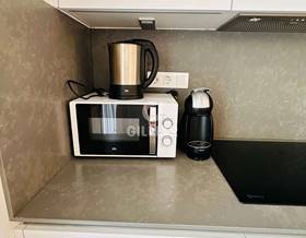 apartments for rent in malaga province