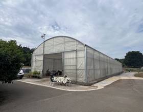 land sale llanera by 198,000 eur