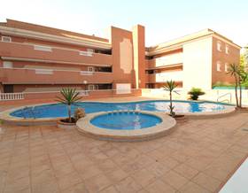 apartments for rent in alicante province