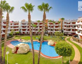 apartments for sale in orihuela