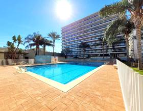 apartment rent gandia by 650 eur
