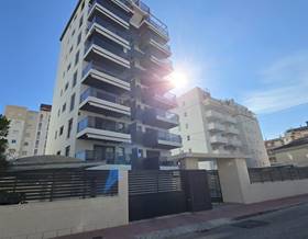 apartment rent gandia by 800 eur