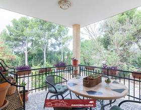 houses for sale in naquera