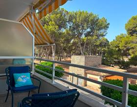 houses for rent in calvia