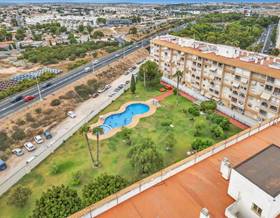 apartments for sale in dehesa de campoamor