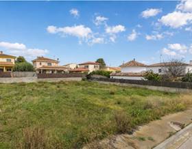 lands for sale in torrelavit