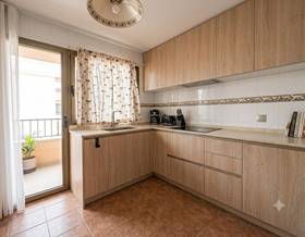 houses for sale in can picafort