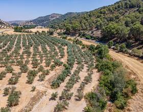 lands for sale in deifontes