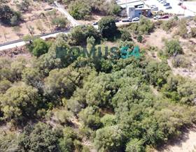land sale islas baleares campanet by 250,000 eur
