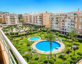 houses for rent in alhaurin de la torre