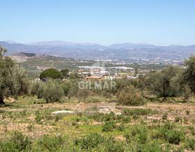 land sale pinos de alhaurin pinos de alhaurín by 1,490,000 eur