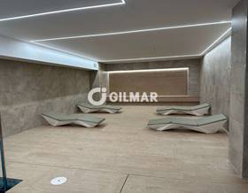 apartments for rent in somosaguas