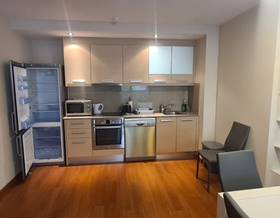 flat rent canillo canillo by 2,400 eur