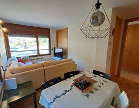 houses for rent in canillo