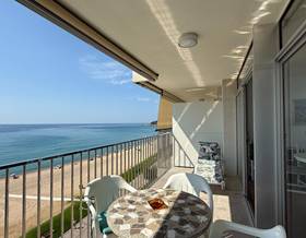 apartment rent girona sant antoni de calonge by 120 eur