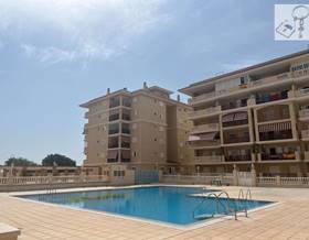 apartments for sale in guardamar del segura