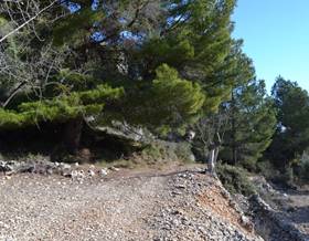 land sale benifato by 36,000 eur