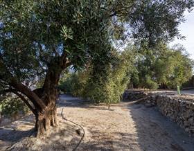 land sale granada resto provincia by 59,900 eur