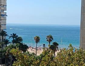 apartment sale benidorm avenida del mediterraneo by 220,000 eur