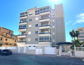 apartment sale torrevieja los europeos by 370,000 eur