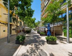 premises for rent in calvia