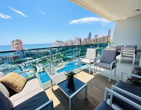 apartment rent benidorm by 2,000 eur
