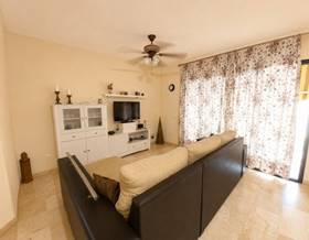 apartments for rent in san luis de sabinillas