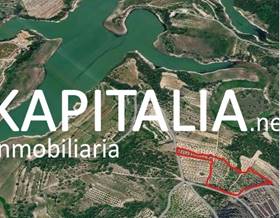 lands for sale in planes