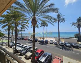 apartments for rent in alicante province
