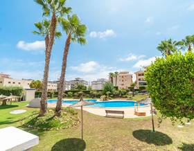 flat rent torrevieja la mata by 800 eur