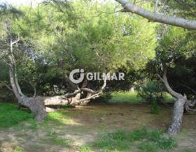 villas for rent in rota