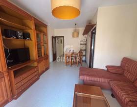 apartments for rent in puerto real