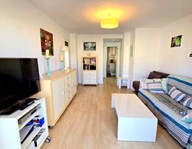 apartment rent gandia by 650 eur