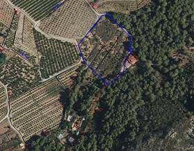 land sale alfauir comunidad valenciana by 40,000 eur