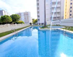 penthouse rent gandia playa de gandia by 750 eur