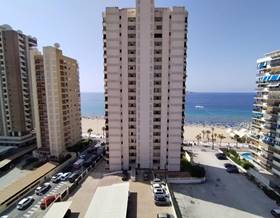 apartment sale benidorm playa de levante by 315,000 eur