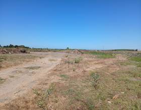 land sale el puerto de santa maria cuatro pinos-el carmen by 130,000 eur