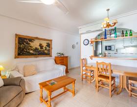 flat rent torrevieja la mata by 650 eur