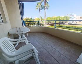 apartments for rent in oliva