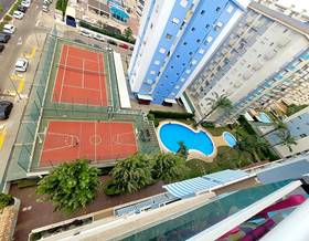 apartment rent gandia by 600 eur